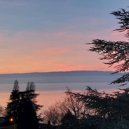 Le Mirabeau Vue Lac Évian-les-Bains Exteriér fotografie