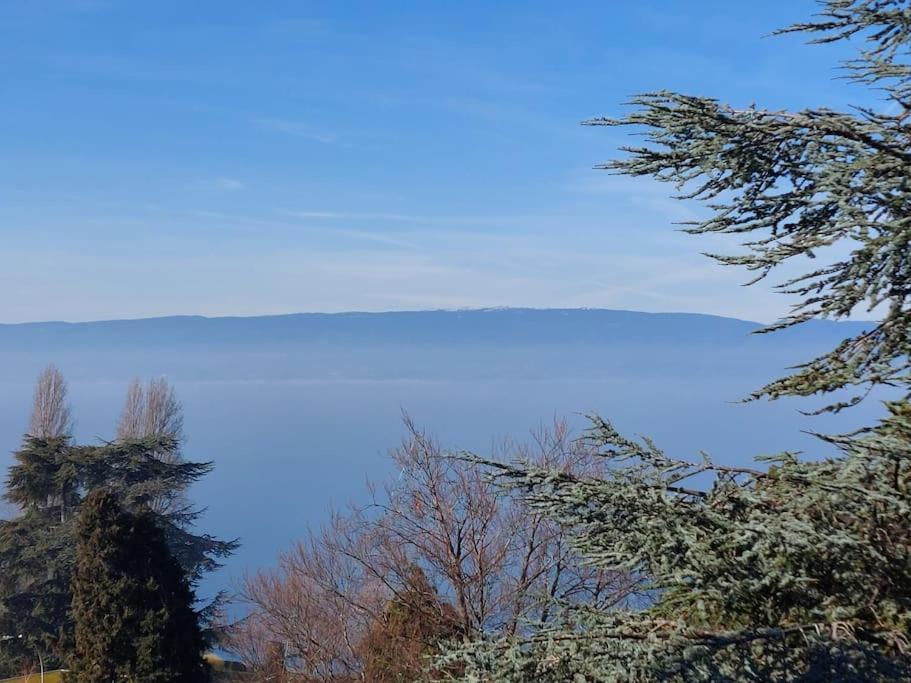 Le Mirabeau Vue Lac Évian-les-Bains Exteriér fotografie