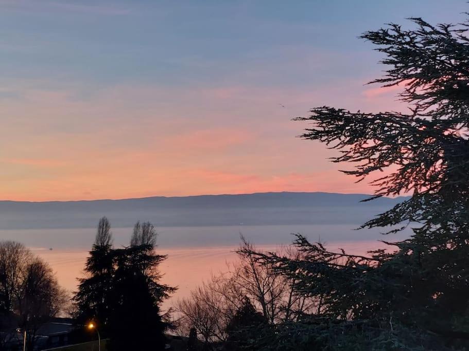 Le Mirabeau Vue Lac Évian-les-Bains Exteriér fotografie