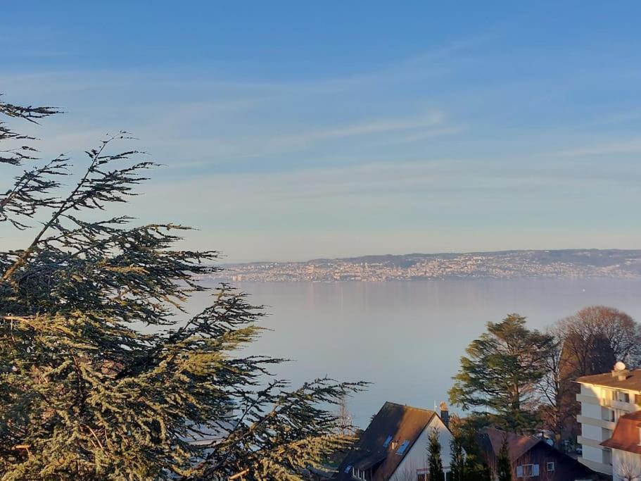 Le Mirabeau Vue Lac Évian-les-Bains Exteriér fotografie